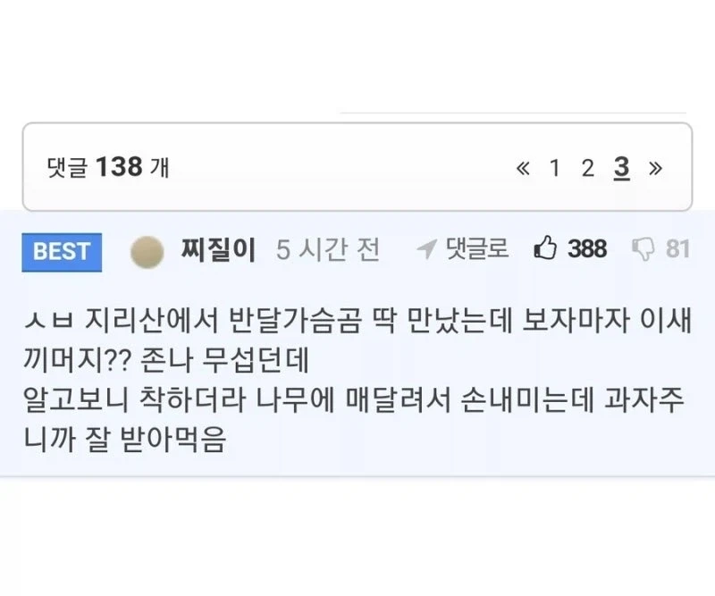 그렇게 위험하진 않은 곰과 진짜로 위험한 곰.jpg - 이미지 3