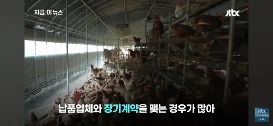 치킨 가격 내리는데 주저하는 업계 속사정이라는데 - 이미지 7