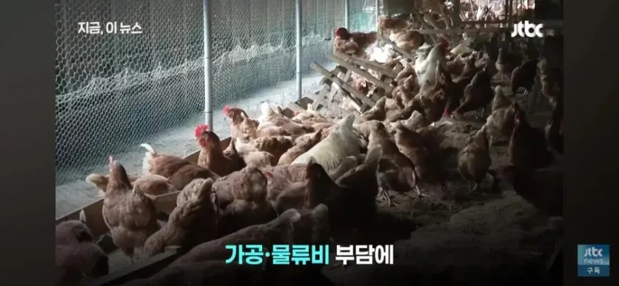 치킨 가격 내리는데 주저하는 업계 속사정이라는데 - 이미지 9