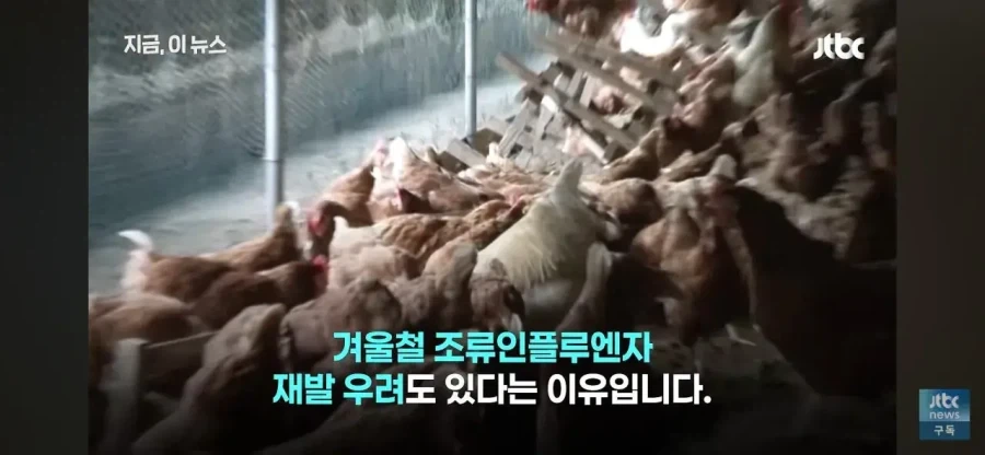 치킨 가격 내리는데 주저하는 업계 속사정이라는데 - 이미지 10