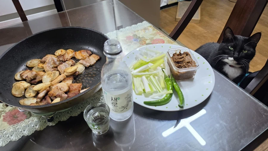 퇴근후 야옹이랑 소소하게 한잔