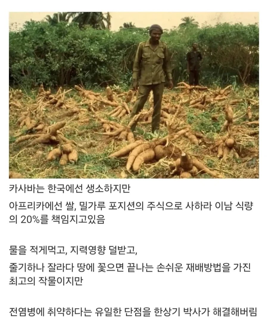 아프리카 한국인 대추장.jpg - 이미지 4