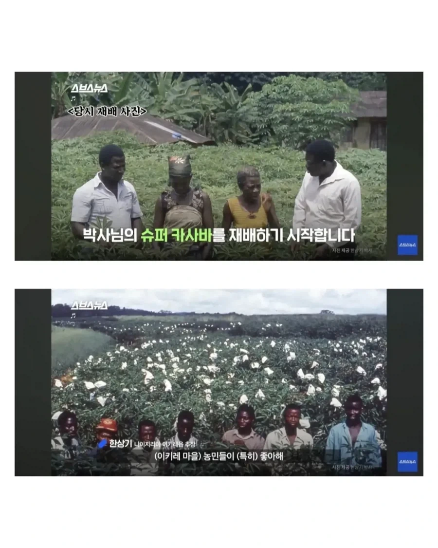 아프리카 한국인 대추장.jpg - 이미지 5