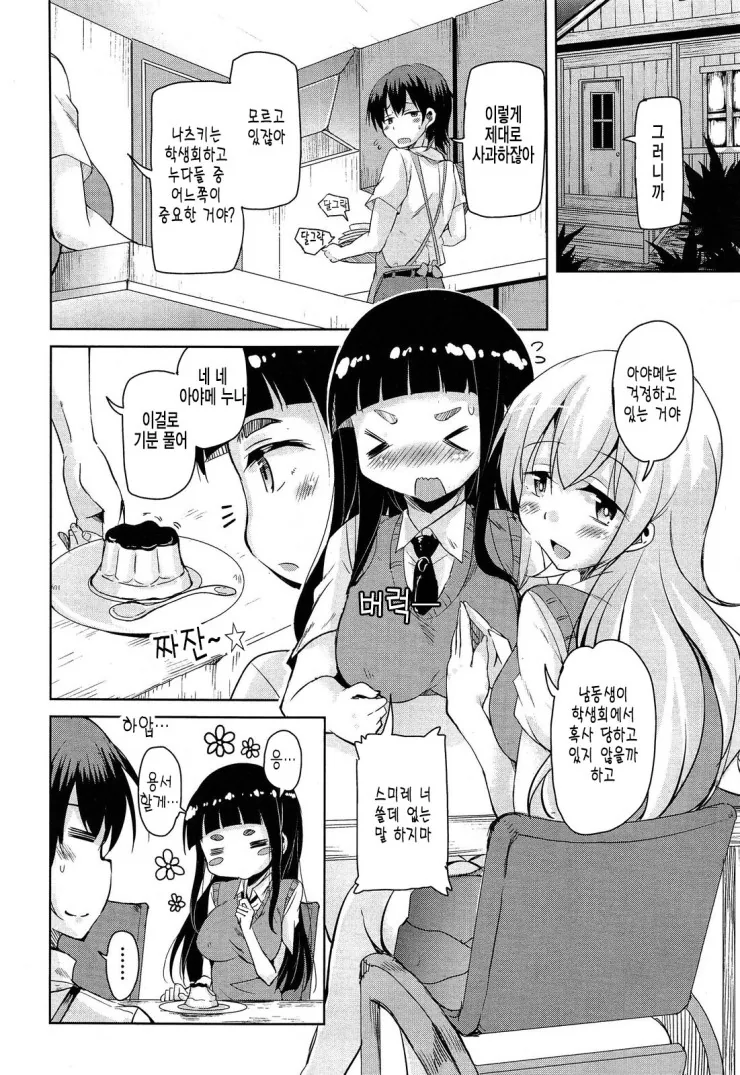 친누나에 대한 환상을 심어주는 만화.manga - 이미지 2