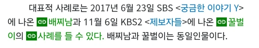 꿀벌이와 배찌 인형탈을 쓴 남자의 의외의 사실 - 이미지 3