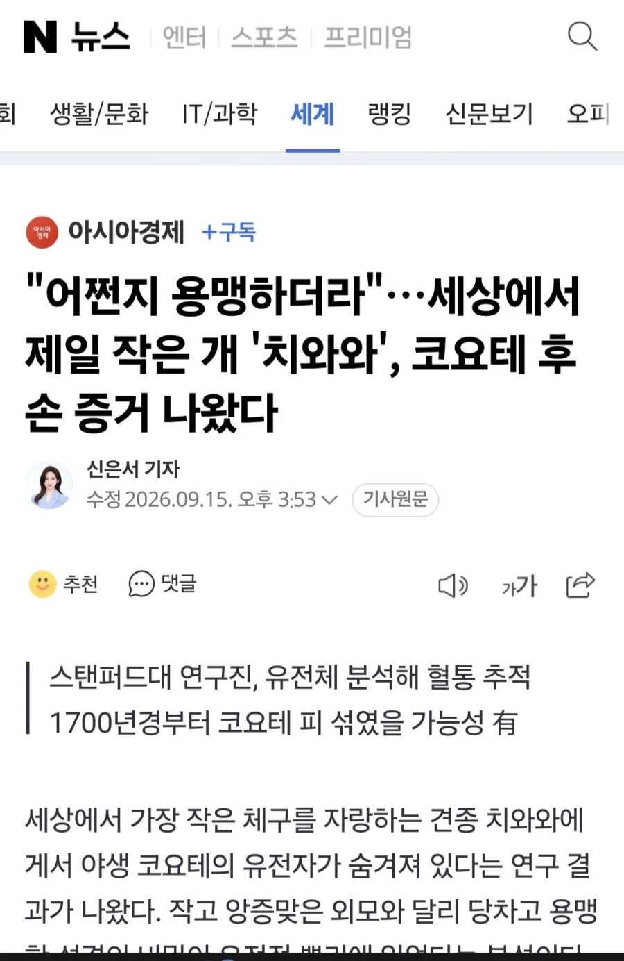 치와와가 작은 몸집에도 성격이 불같던 이유