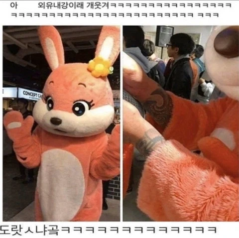 외유내강 인형탈 알바.