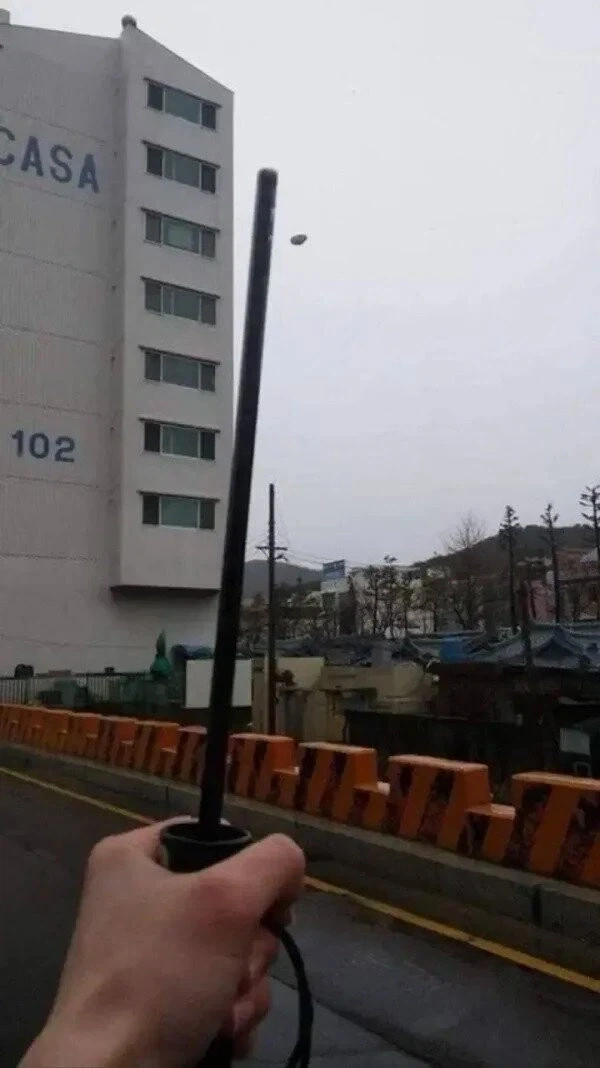 윙가르디움