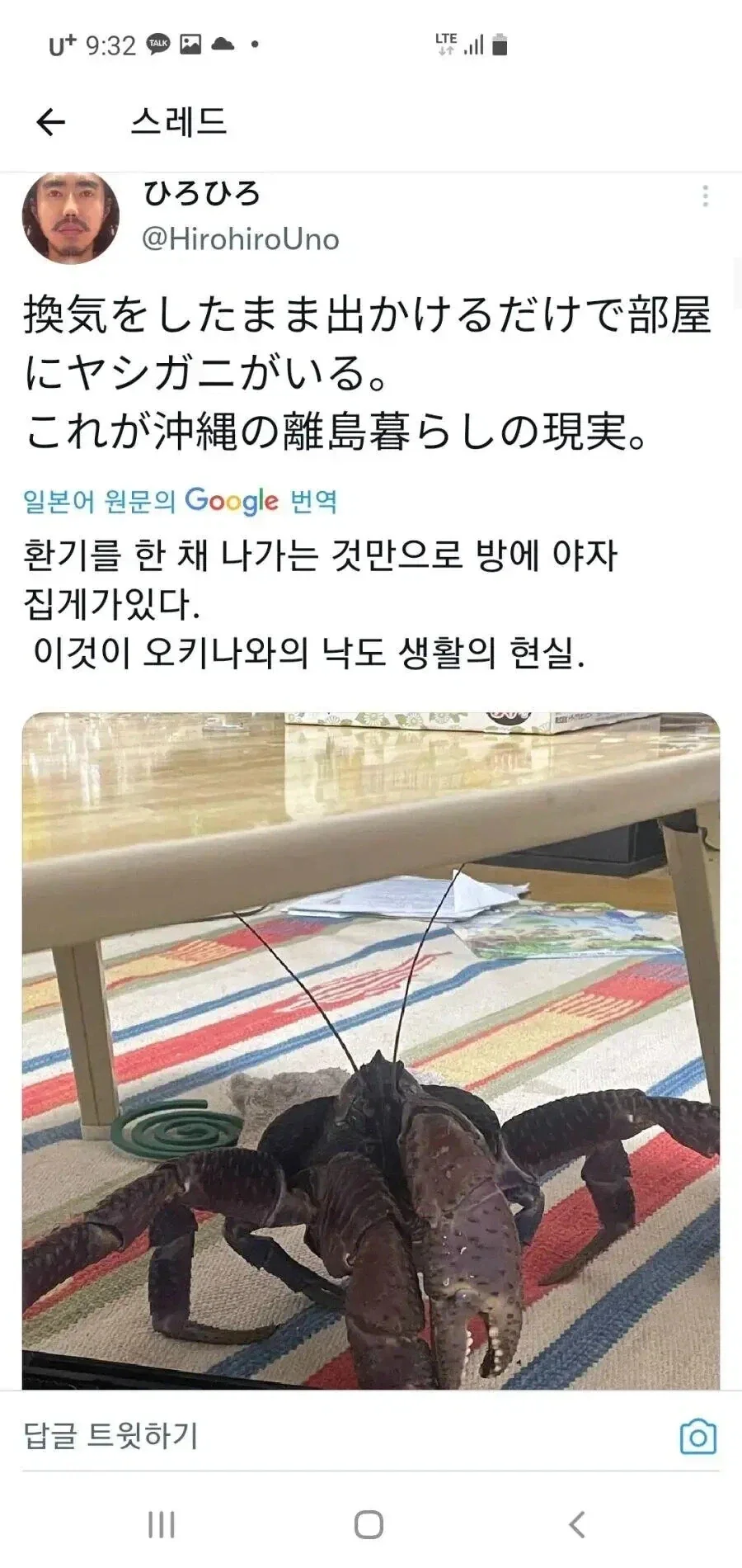 오키나와의 현실