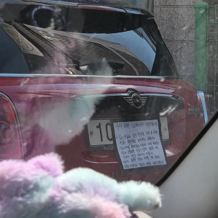 불법주차하고 당당한 차주