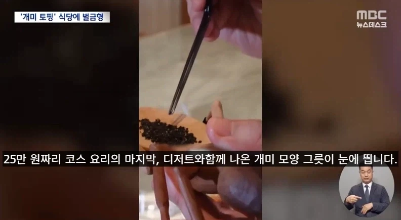 디저트에 개미 올린 식당 벌금형 선고.jpg - 이미지 2