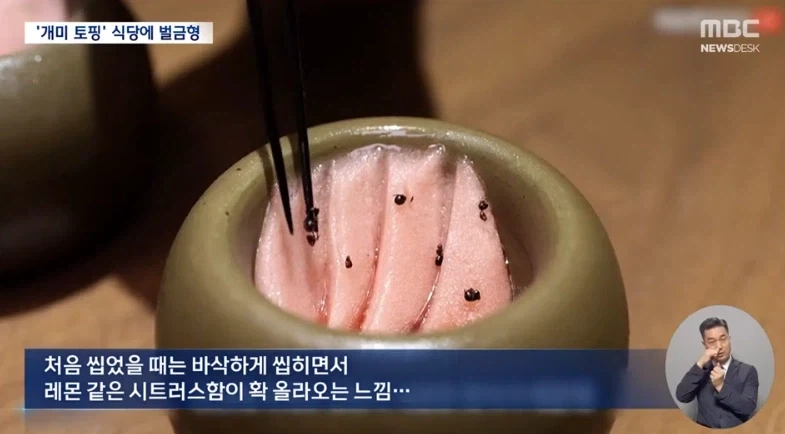 디저트에 개미 올린 식당 벌금형 선고.jpg - 이미지 3