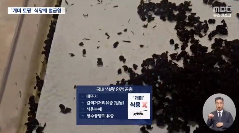 디저트에 개미 올린 식당 벌금형 선고.jpg - 이미지 4