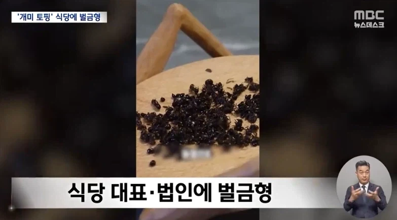 디저트에 개미 올린 식당 벌금형 선고.jpg - 이미지 6