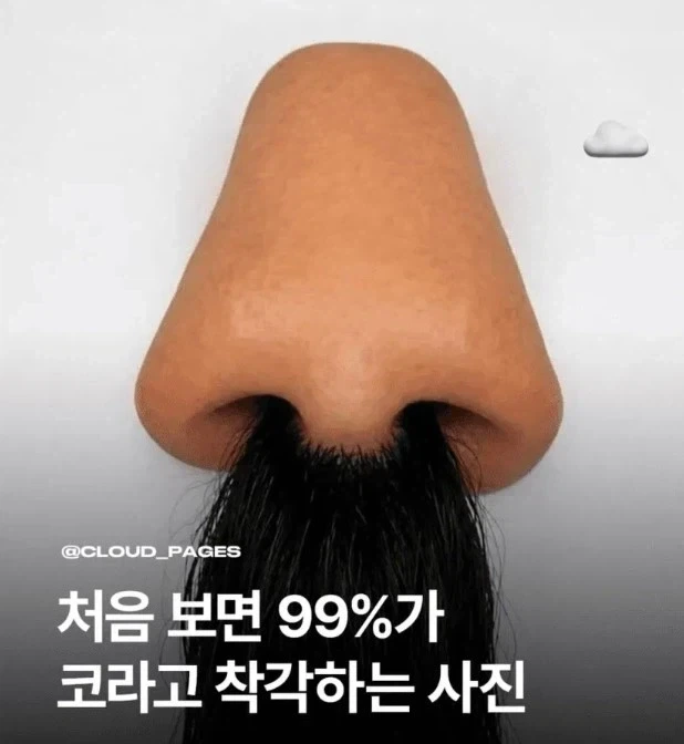 그저 코털일뿐인 짤