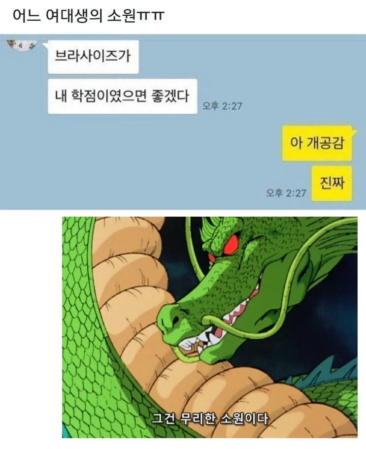 어느 여대생의 소원