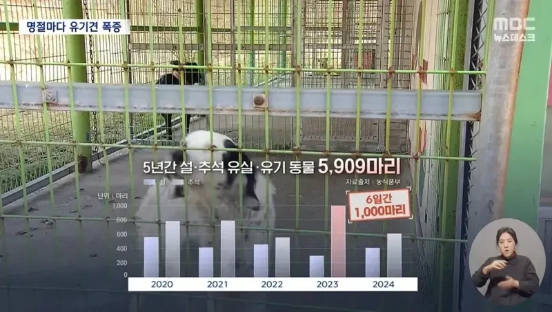 곧 있을 추석에 생길일 - 이미지 2