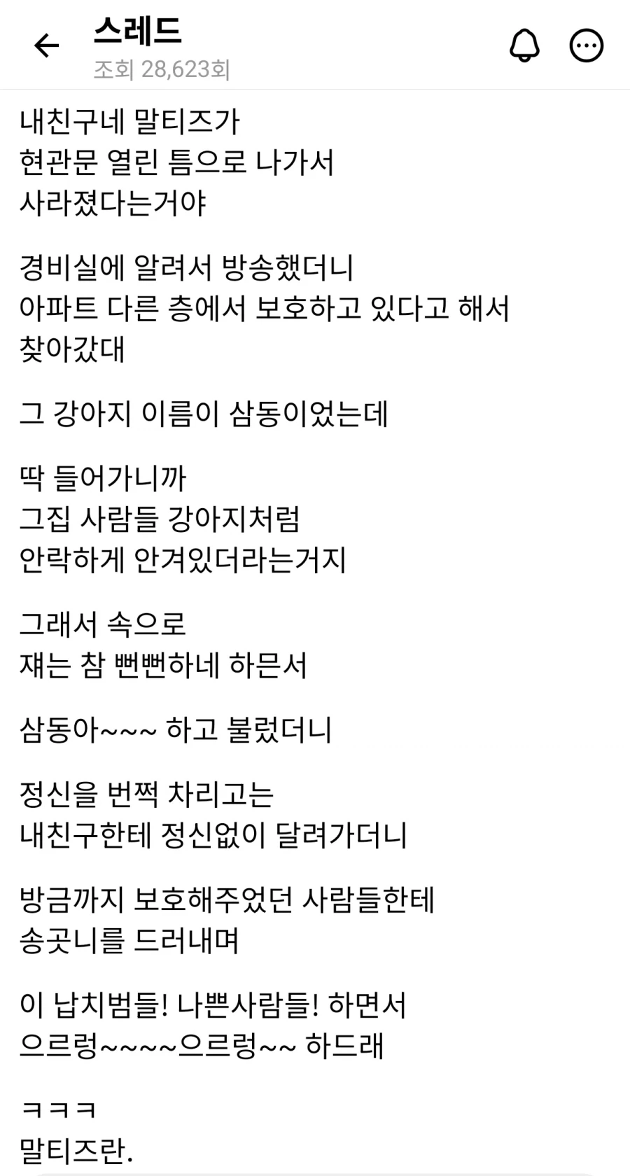 말티즈 특징