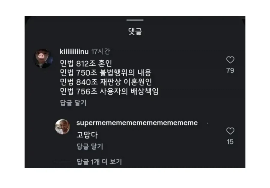 나랑 민법 812조 할래? - 이미지 2