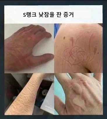 S랭크 낮잠의 증거