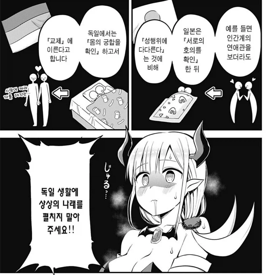 독일에 환상을 품은 일본산 서큐벗으.jpg