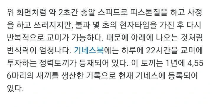 다시는 토끼를 무시하지 마라.jpg