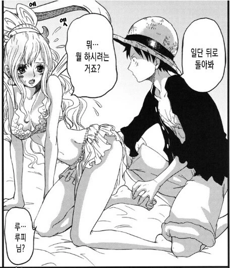 [원피스]루피와 시라호시