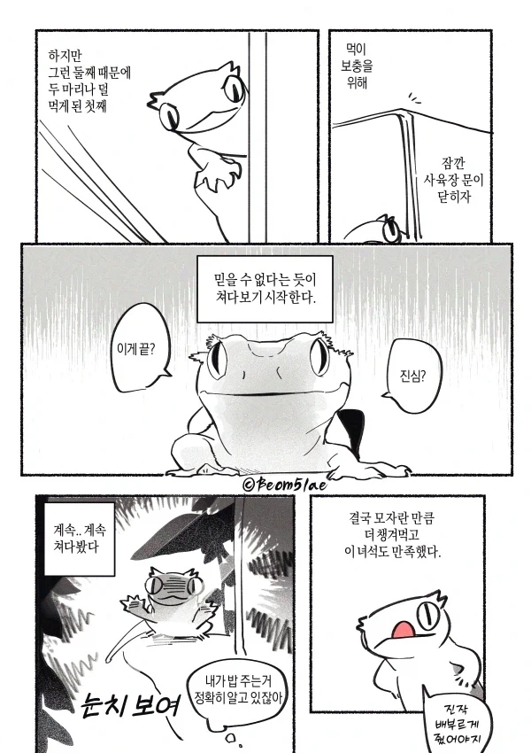 도마뱀 밥주는 만화 - 이미지 2