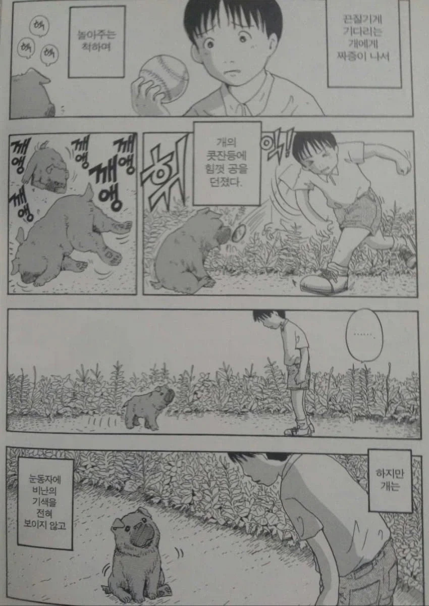 개.manhwa