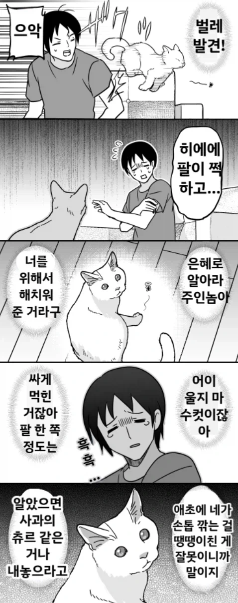 은혜도 모르는 캔따개 만화
