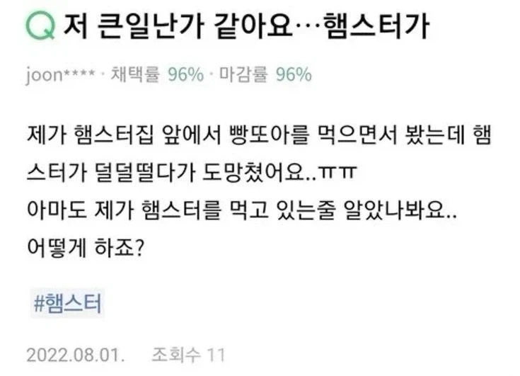 저 큰일난가 같아요.햄스터가