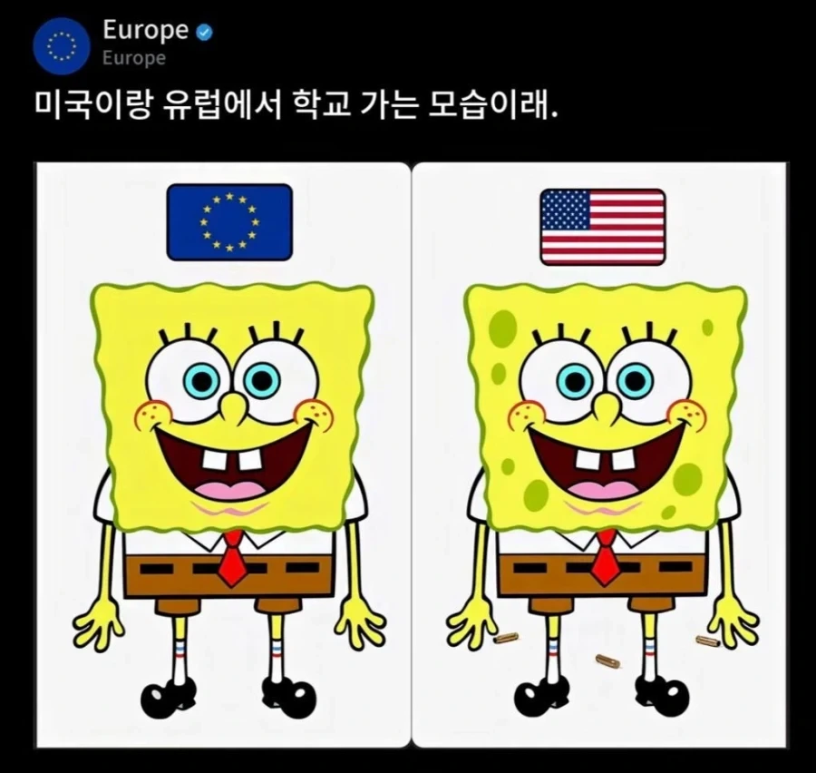 미국 초딩과 유럽 초딩