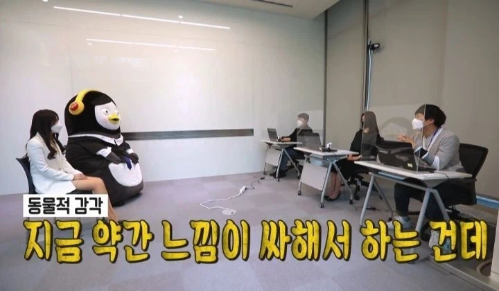 면접에서 깽판치는 펭수.jpg - 이미지 8
