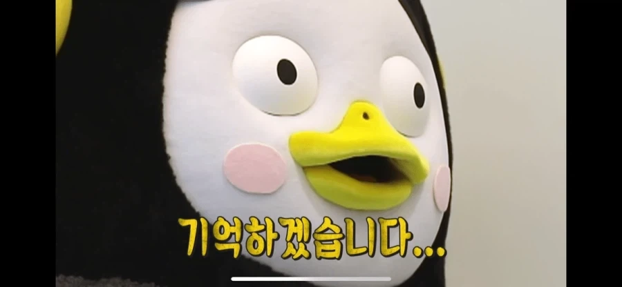 면접에서 깽판치는 펭수.jpg - 이미지 13