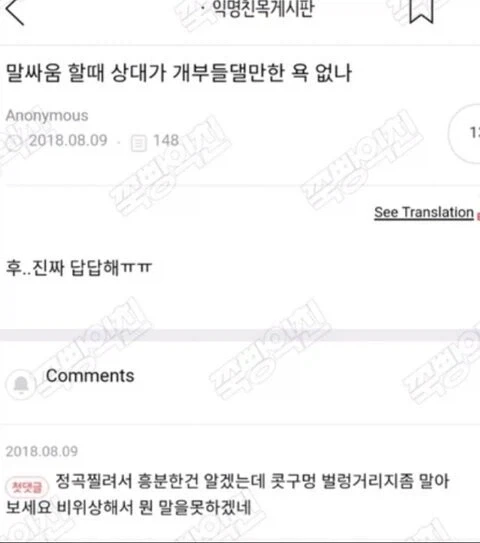 말싸움 할때 상대가 개부들만한 욕 없나