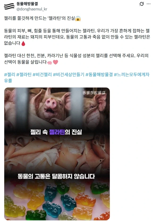 젤리는 동물의 고통과 죽음으로 만들어진다.jpg