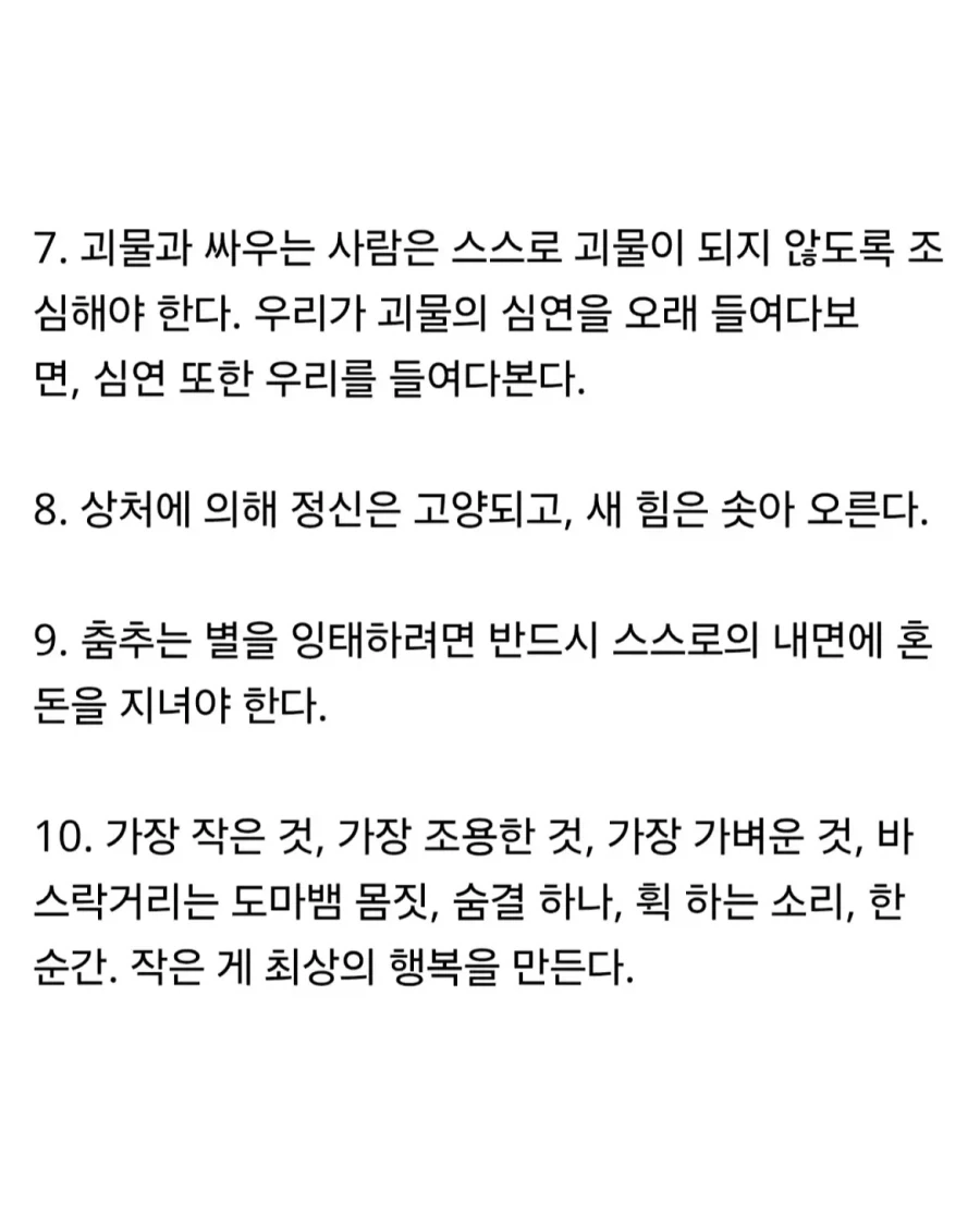 ㅆ간지나는 니체의 명언.jpg - 이미지 3