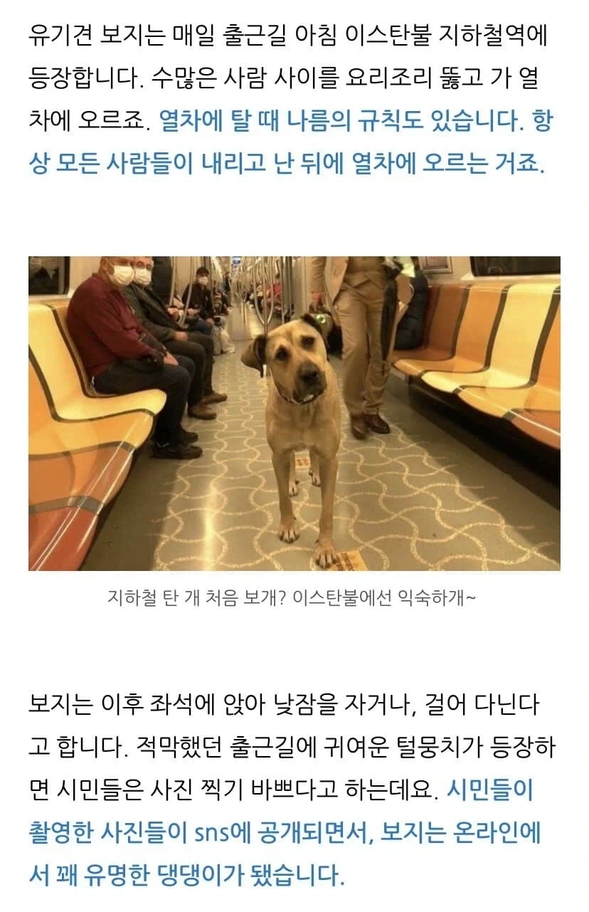 지하철 한복판에 털난 보지 내놓음