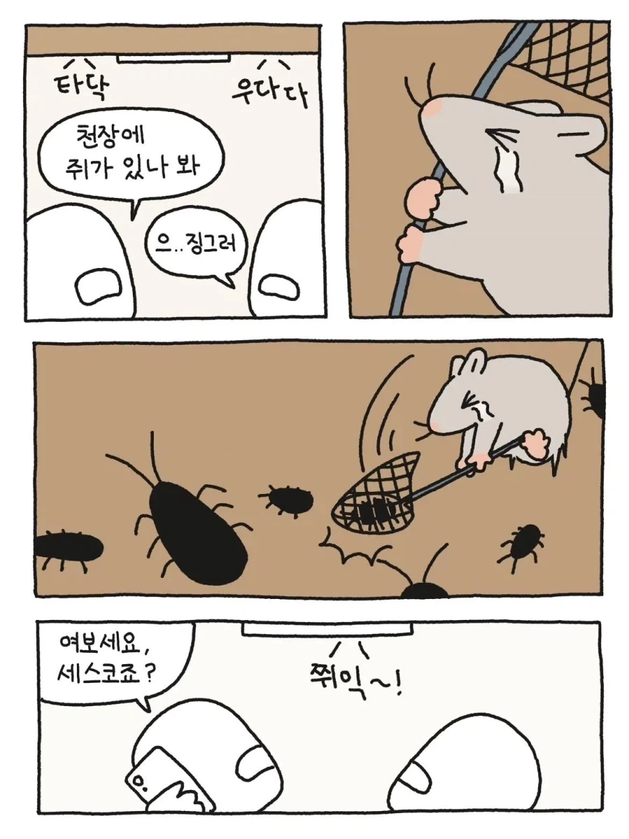쥐가 집 천장에서 우다다 하는 이유