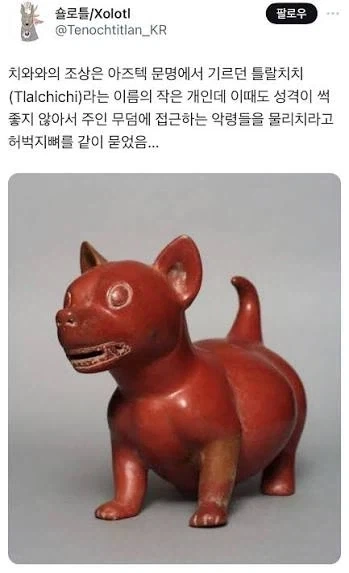 치와와 종특