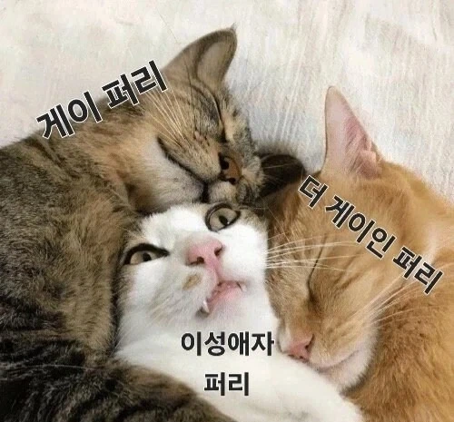 이성애자 퍼리의 단점