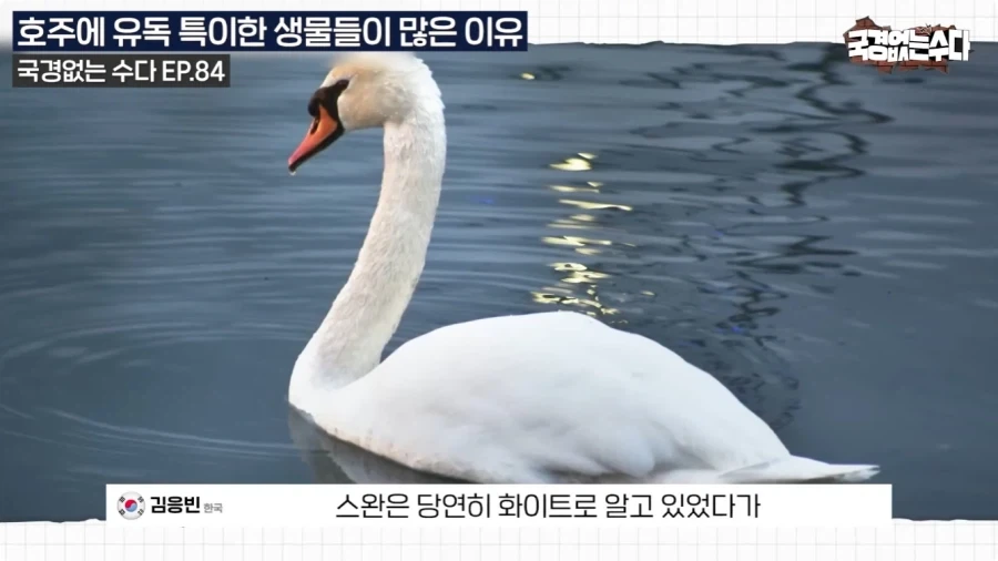 호주에 특이한 생물들이 많은 이유.jpg - 이미지 17