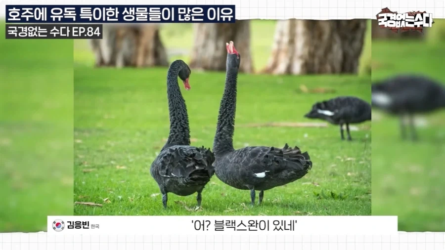 호주에 특이한 생물들이 많은 이유.jpg - 이미지 19