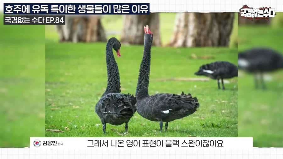호주에 특이한 생물들이 많은 이유.jpg - 이미지 20