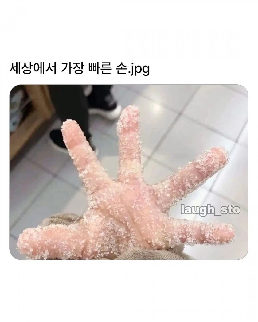 세상에서 가장 빠른 손
