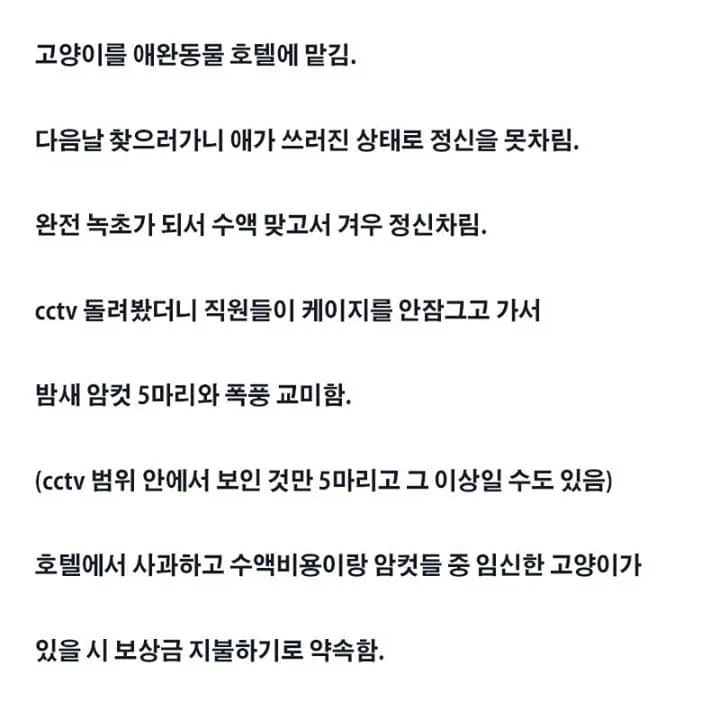 고앵이를 애완호텔에 맡김.
