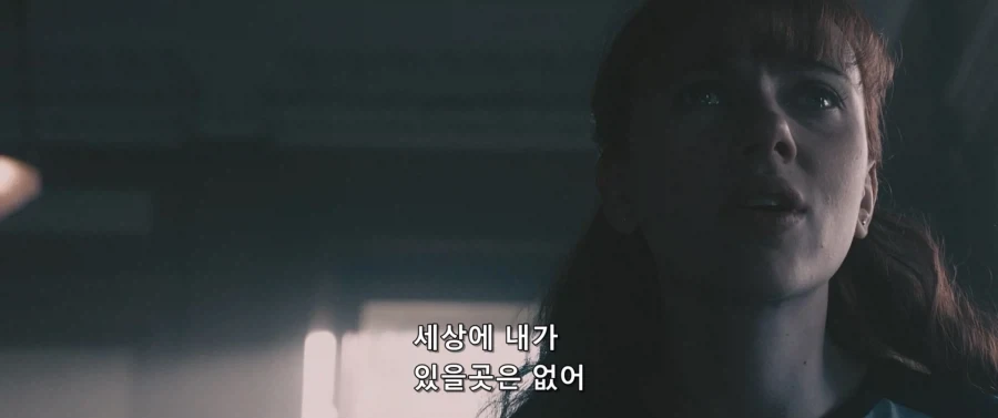 어벤져스 꿈 - 이미지 2
