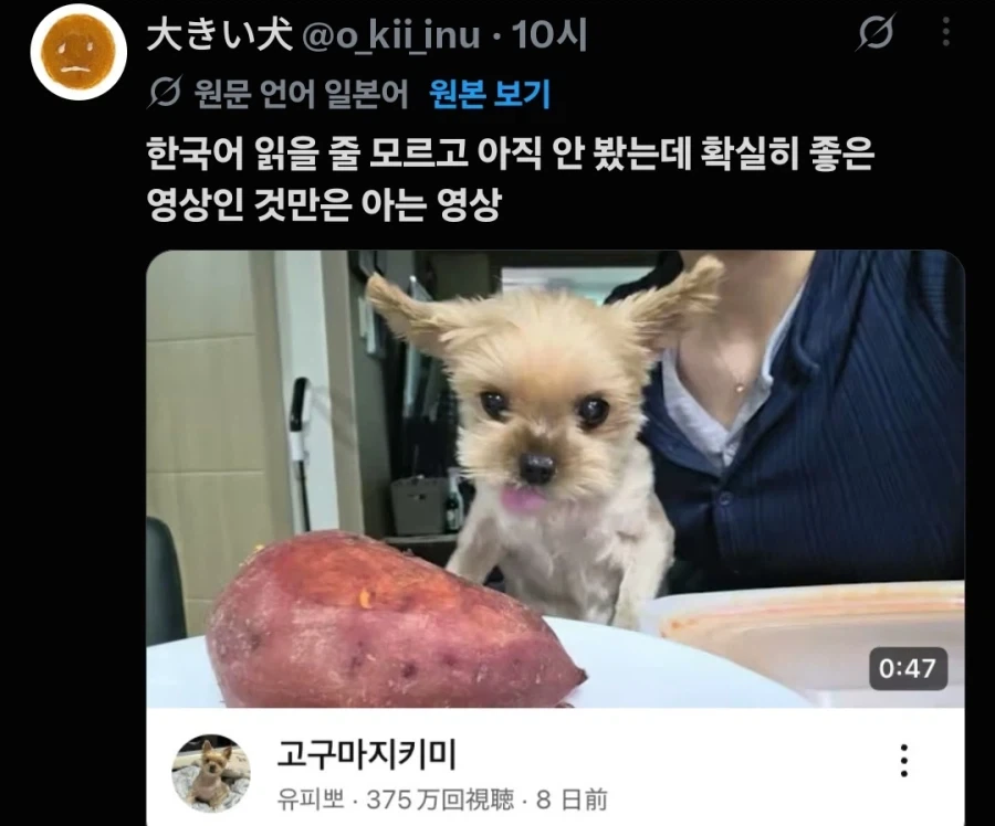 한국어는 잘 모르지만