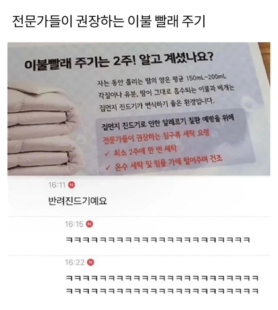 전문가들이 권장하는 이불 빨래 주기