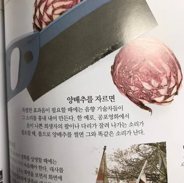 음향기술자들이 양배추를 자르는 이유.jpg